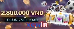 xewin