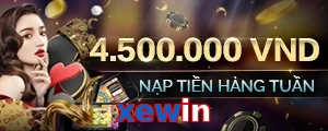 xewin
