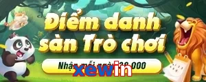 xewin