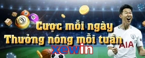 xewin